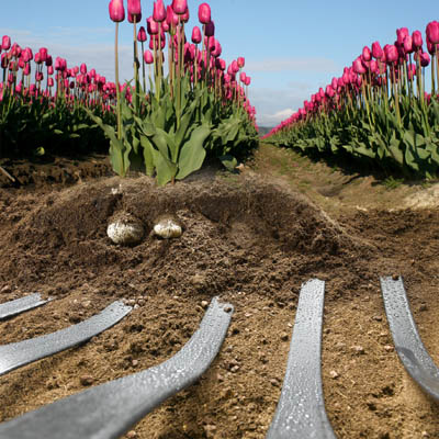 Outdoor ribbon below farming soil